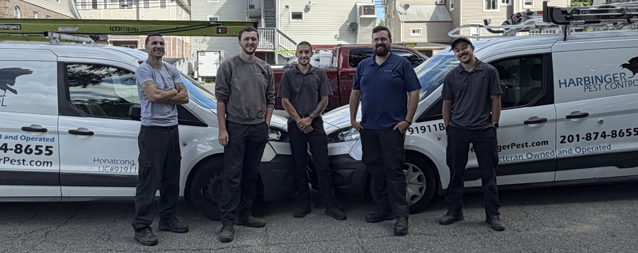 Harbinger Technicians